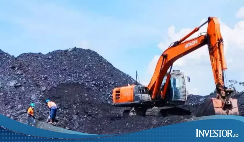 Asing Ramai-ramai Serok Saham CUAN