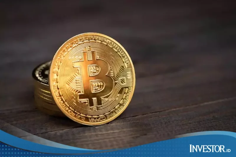 Ketika Para Whale dan Michael Saylor Justru Borong Bitcoin (BTC) Rp 43 Triliun