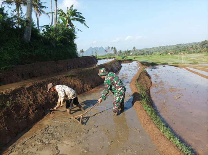 Bantu Olah Lahan, Upaya Babinsa Kodim Ponorogo Sejahterakan Petani 