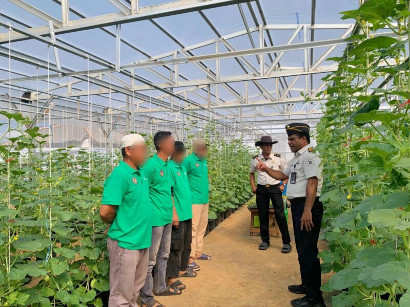 Rutan Kelas I Palembang Lanjutkan Penanaman Melon Tahap Kedua – Detiktoday.com