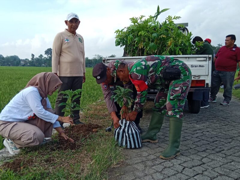 Kolaborasi TNI-Polri dan Pemda Trenggalek, Wujudkan Net Zero Carbon