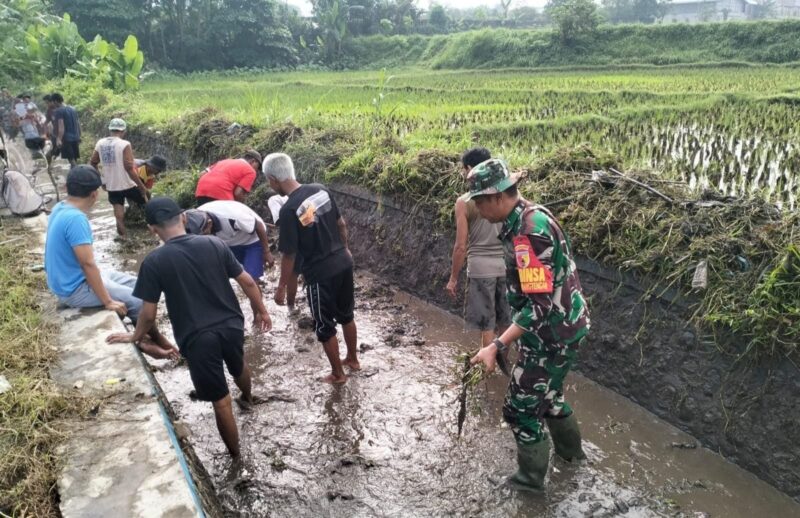Ketika Harapan Ikut Tumbuh di Antara Air dan Lumpur yang Kembali Mengalir