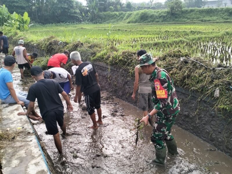 Ketika Harapan Ikut Tumbuh di Antara Air dan Lumpur yang Kembali Mengalir