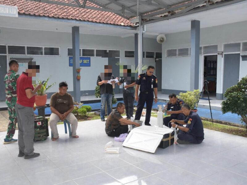 TNI AL GAGALKAN PENYELUNDUPAN BENIH BENING LOBSTER ILEGAL, SENILAI RP2,5 MILIAR