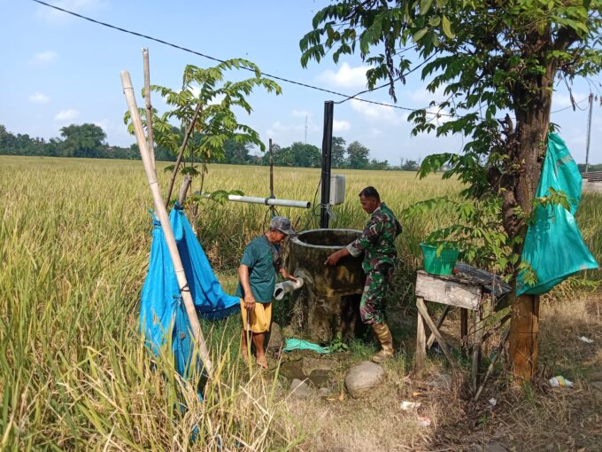 Pendampingan Petani oleh Babinsa Kodim Ponorogo, Majukan Sektor Pertanian di Desa