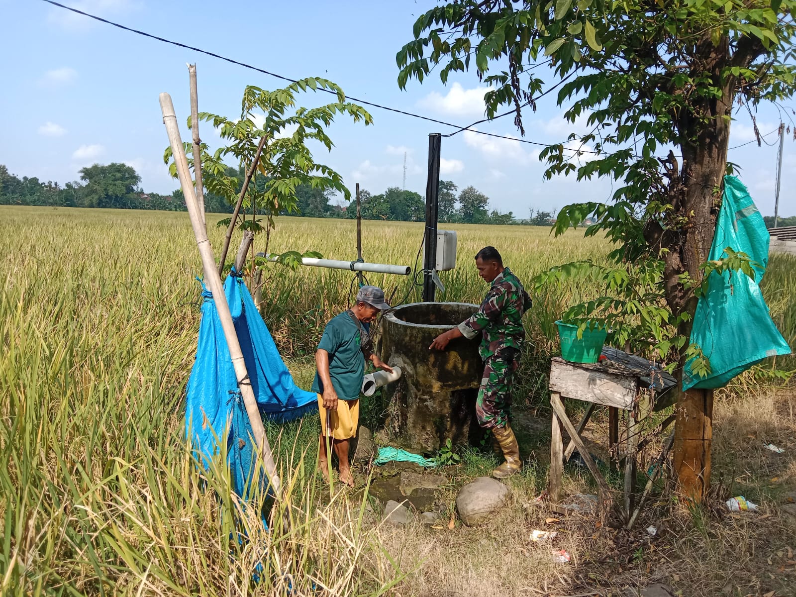 Pendampingan Petani oleh Babinsa Kodim Ponorogo, Majukan Sektor Pertanian di Desa