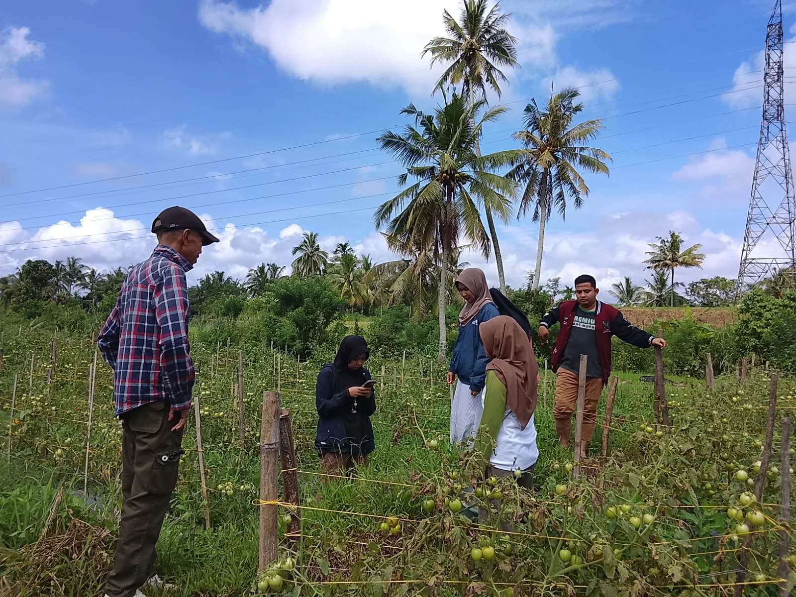 Bumnag Pagaruyung Motivasi Petani Untuk Berkemban – Detiktoday.com