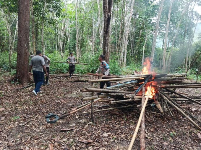 Gerak Cepat Polisi, Arena Sabung Ayam di Hutan Sebalang Kapuas Hulu Dibongkar dan Dibakar – Detiktoday.com