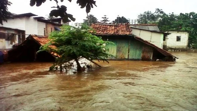 WALHI Jambi Soroti Banjir Batang Asai sebagai Bencana Ekologis, Desak Investigasi Kerusakan Hulu – Detiktoday.com
