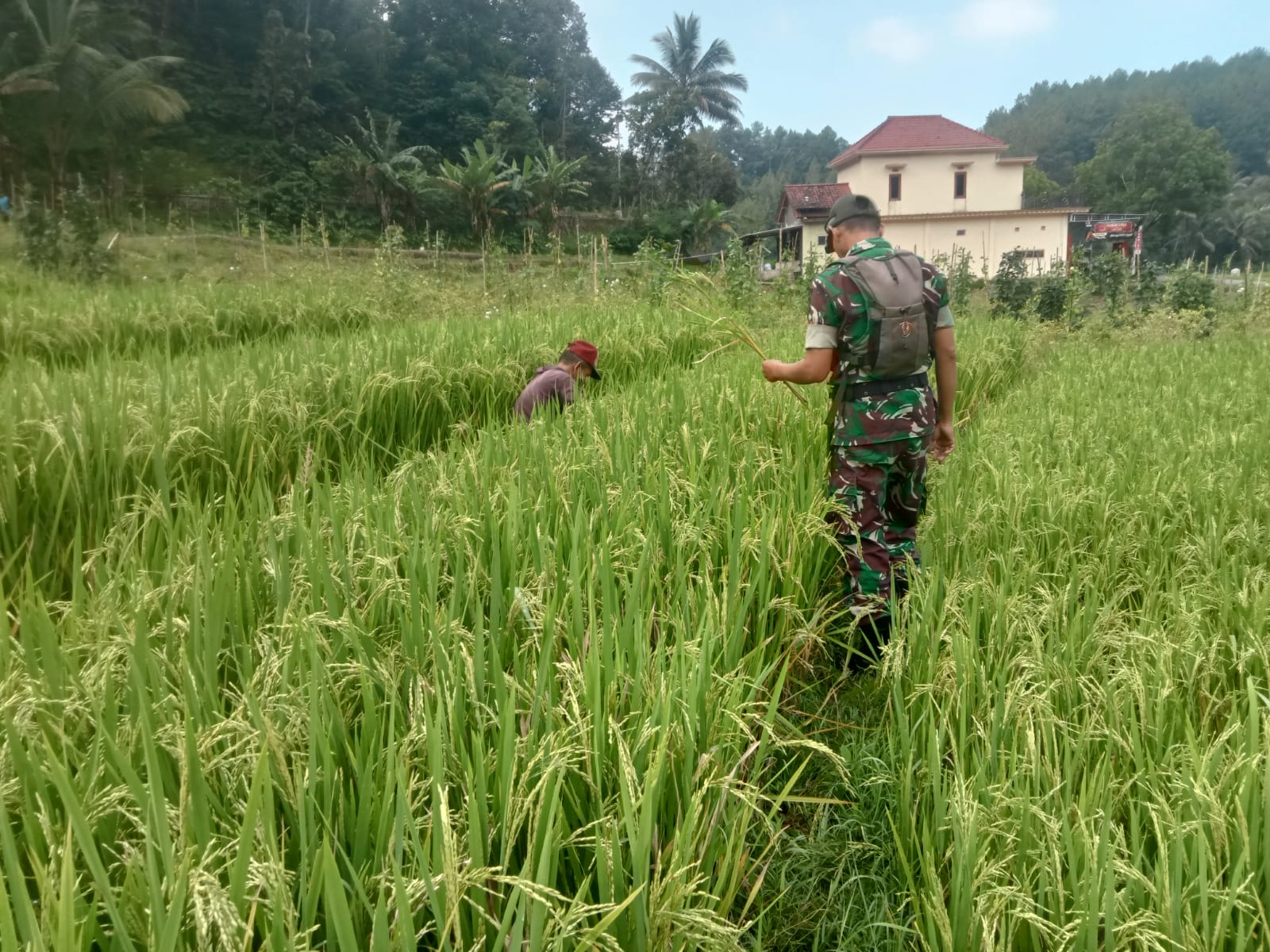 Sinergitas TNI-Polri dan Pemda, Pj Kades Ngulanwetan Resmi Dilantik di Pogalan Trenggalek