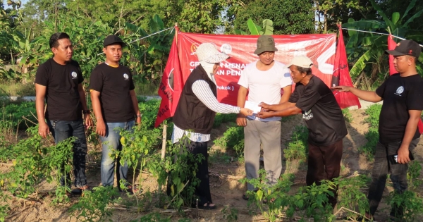 Ansari Gencarkan Penanaman Pangan Alternatif dan Bantu Petani di Pamekasan