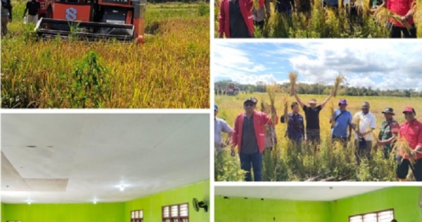 Jangan Lupa dengan Sagu Agar Tidak Jadikan Beras Satu-Satunya Makanan Harian