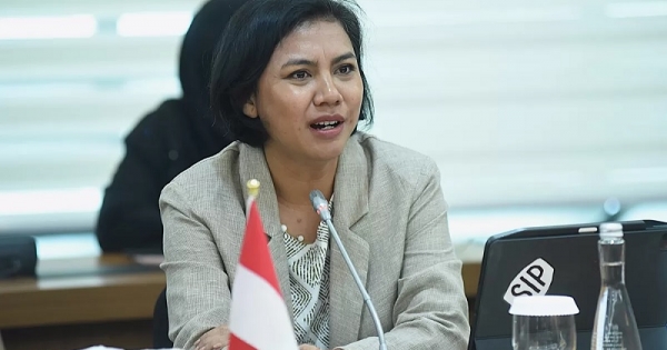 Irine Roba Tekankan Pentingnya Sinergi Penguatan Internal-Eksternal Wujudkan Perdamaian Berkelanjutan