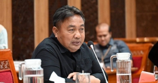 Kerusakan Hutan di Pulau Dewata Makin Parah, Desak Penegakan Hukum