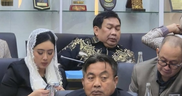 Nyoman Parta Tekankan Pentingnya Pengaturan Batas Usia Dalam RUU PPRT