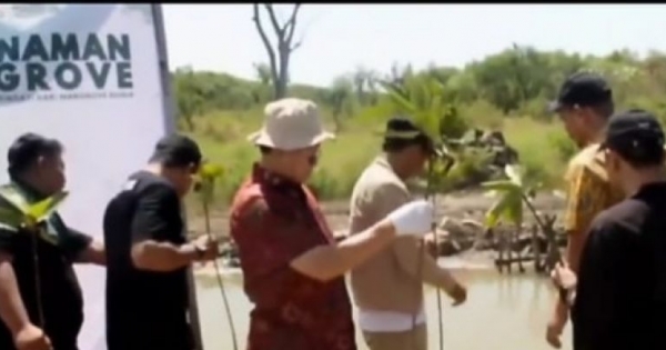 Mangrove Harta Karun Ekologi Tak Ternilai