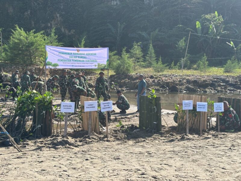 TNI Peduli Lingkungan, Dandim Tulungagung Pimpin Penanaman Mangrove di Cemoro Sewu Sine