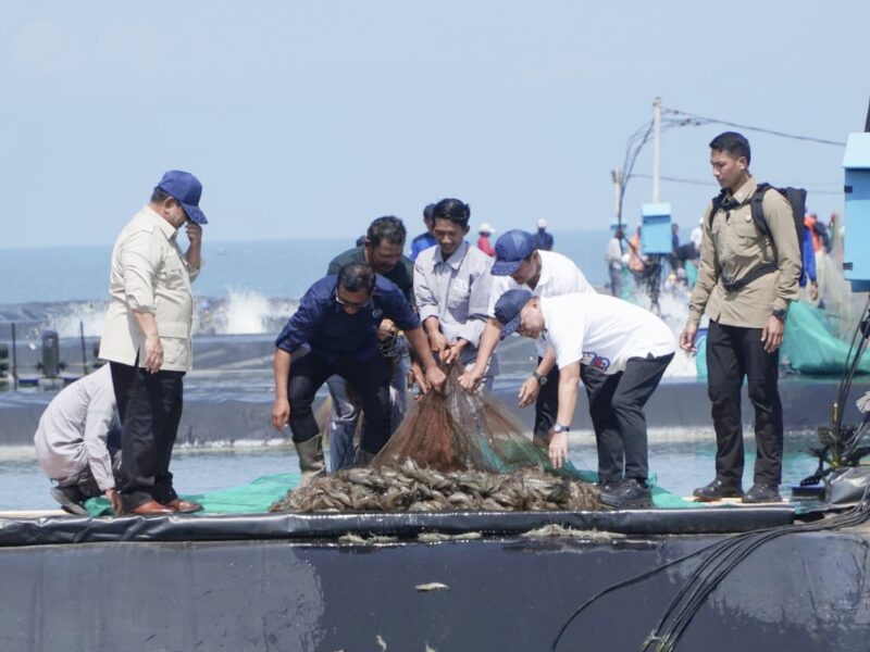 Panglima TNI Dampingi Presiden RI Prabowo Subianto Panen Raya Udang di Kebumen