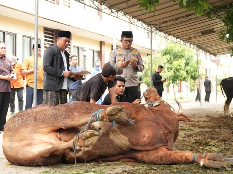 Polresta Sidoarjo Salurkan 100 Hewan Kurban di Idul Adha 1447 Hijriyah – Detiktoday.com