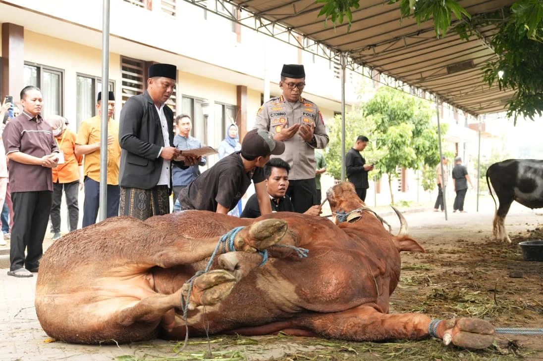 Polresta Sidoarjo Salurkan 100 Hewan Kurban di Idul Adha 1447 Hijriyah – Detiktoday.com