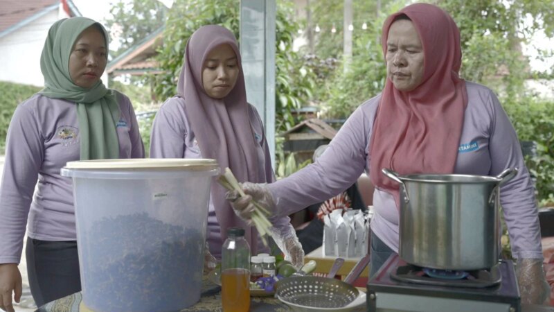Dari Pekarangan ke Penghasilan, Pertamina Patra Niaga Sumbagsel Dorong Ketahanan Pangan dan Ekonomi Keluarga – Detiktoday.com