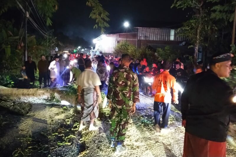 TNI-Polri dan BPBD Trenggalek Evakuasi Pohon Tumbang di Kampak, Jalur Kampak–Munjungan Kembali Lancar