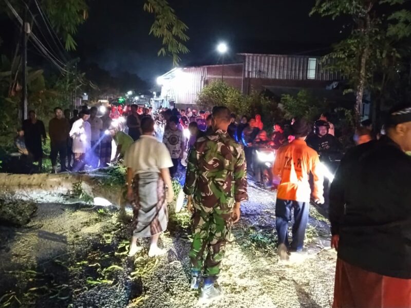 TNI-Polri dan BPBD Trenggalek Evakuasi Pohon Tumbang di Kampak, Jalur Kampak–Munjungan Kembali Lancar