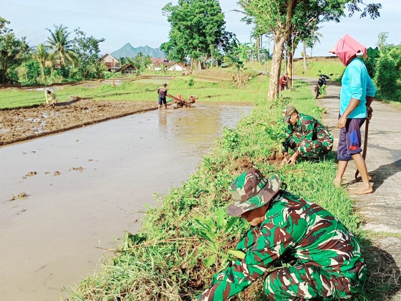 Anggota Kodim Ponorogo Bersama Masyarakat, Kerja Bakti Bersihkan Rumput  