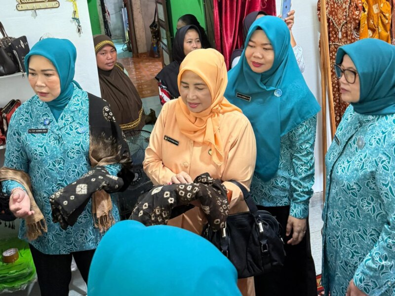Produk Desa Berdaya Saing Global, Gambo Muba Tuai Pujian PKK Sumsel – Detiktoday.com