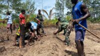 Bedengan Rampung, Lahan Program TMMD di Kampung Keakwa Siap Ditanami