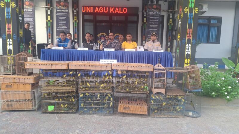 PENYELUNDUPAN RATUSAN BURUNG LOKAL, BERHASIL DIGAGALKAN TNI AL DAN APARAT GABUNGAN