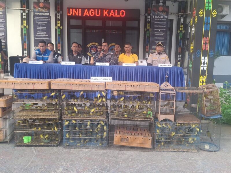 PENYELUNDUPAN RATUSAN BURUNG LOKAL, BERHASIL DIGAGALKAN TNI AL DAN APARAT GABUNGAN