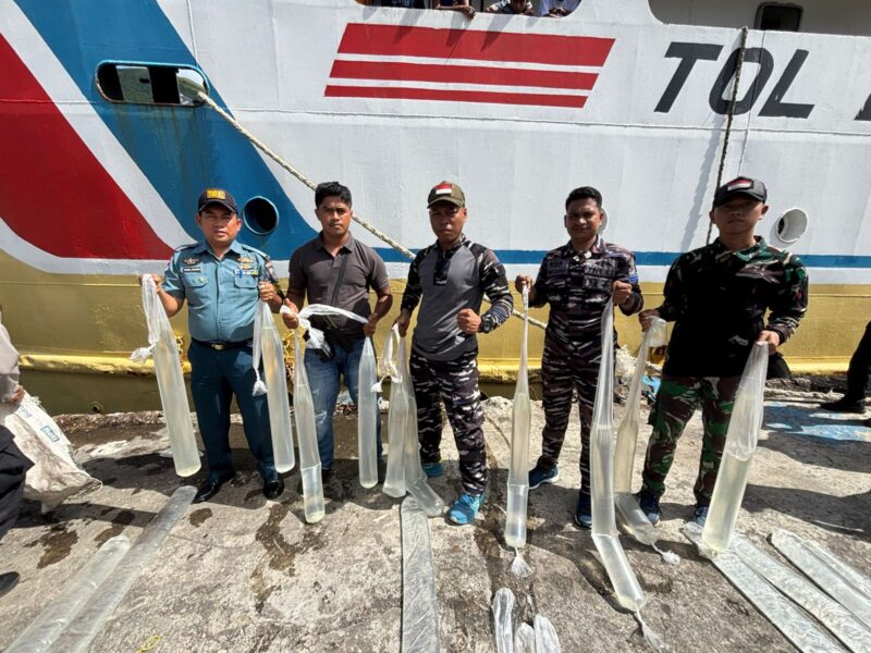 TNI AL GAGALKAN PEREDARAN RATUSAN LITER SOPI ILEGAL DI PELABUHAN BANDA NAIRA