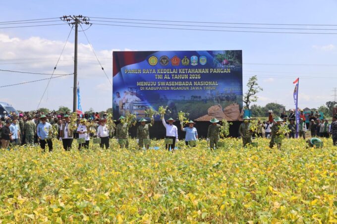 DUKUNG KETAHANAN PANGAN NASIONAL, TNI AL GELAR PANEN RAYA KEDELAI DI KABUPATEN NGANJUK