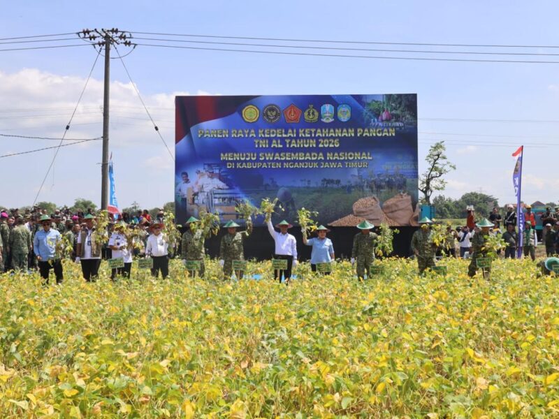 DUKUNG KETAHANAN PANGAN NASIONAL, TNI AL GELAR PANEN RAYA KEDELAI DI KABUPATEN NGANJUK