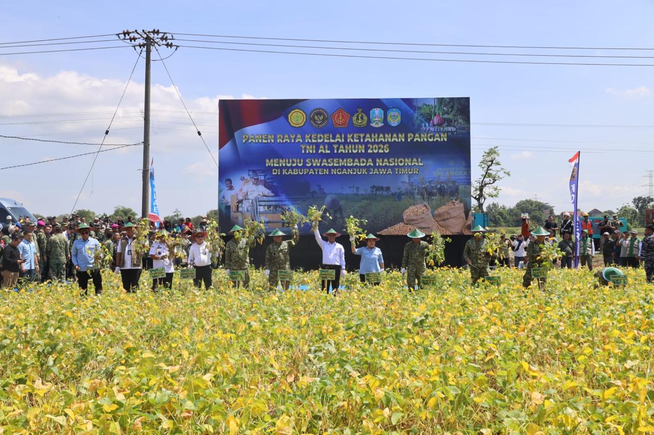 DUKUNG KETAHANAN PANGAN NASIONAL, TNI AL GELAR PANEN RAYA KEDELAI DI KABUPATEN NGANJUK