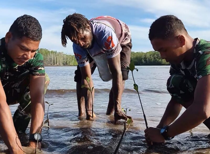 Bersatu Dengan Alam, Satgas TMMD Kodim 1710/Mimika Tanam Ribuan Bibit Mangrove