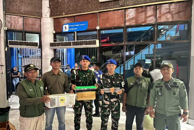 TNI AL GAGALKAN PENYELUNDUPAN SATWA DILINDUNGI DI KM GUNUNG DEMPO, DELAPAN EKOR BURUNG LANGKA DIAMANKAN