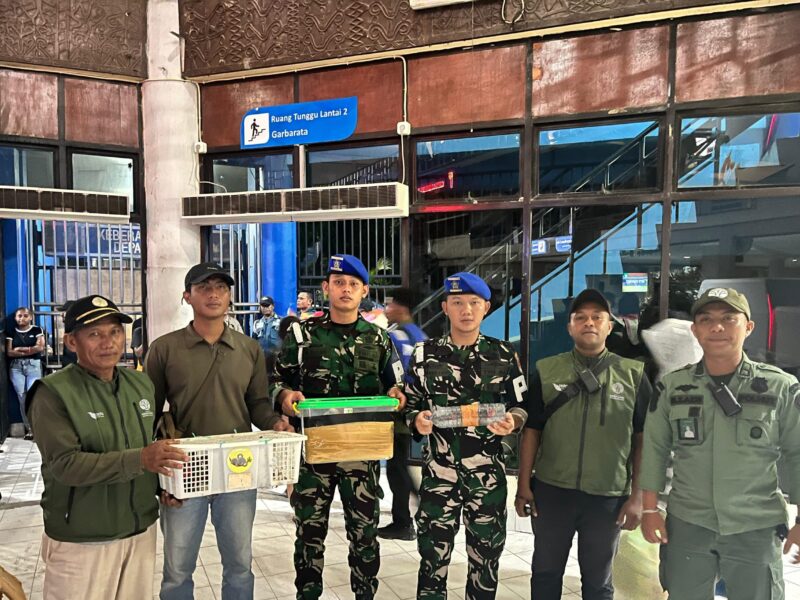 TNI AL GAGALKAN PENYELUNDUPAN SATWA DILINDUNGI DI KM GUNUNG DEMPO, DELAPAN EKOR BURUNG LANGKA DIAMANKAN