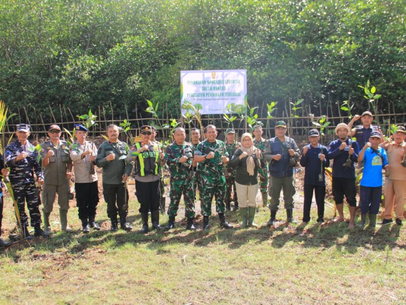 Kodim 0806/Trenggalek dan Pemkab, Tanam 1.500 Mangrove di Watulimo Untuk Gegah Abrasi