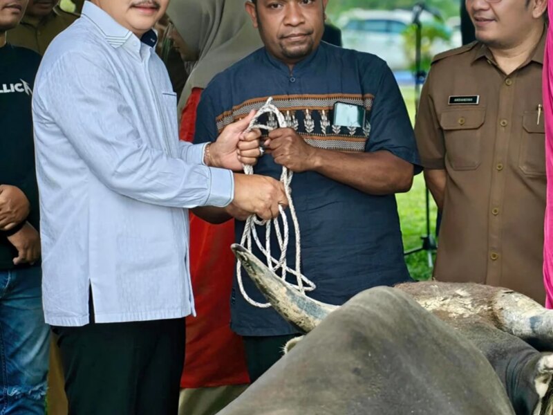 Pemkab Muba Salurkan Hewan Kurban untuk Masjid, Ponpes hingga Disabilitas – Detiktoday.com
