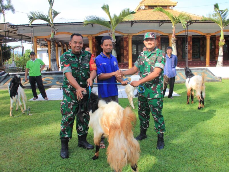 Kodim 0806/Trenggalek Distribusikan 7 Kambing Kurban untuk Panti Asuhan dan Ponpes