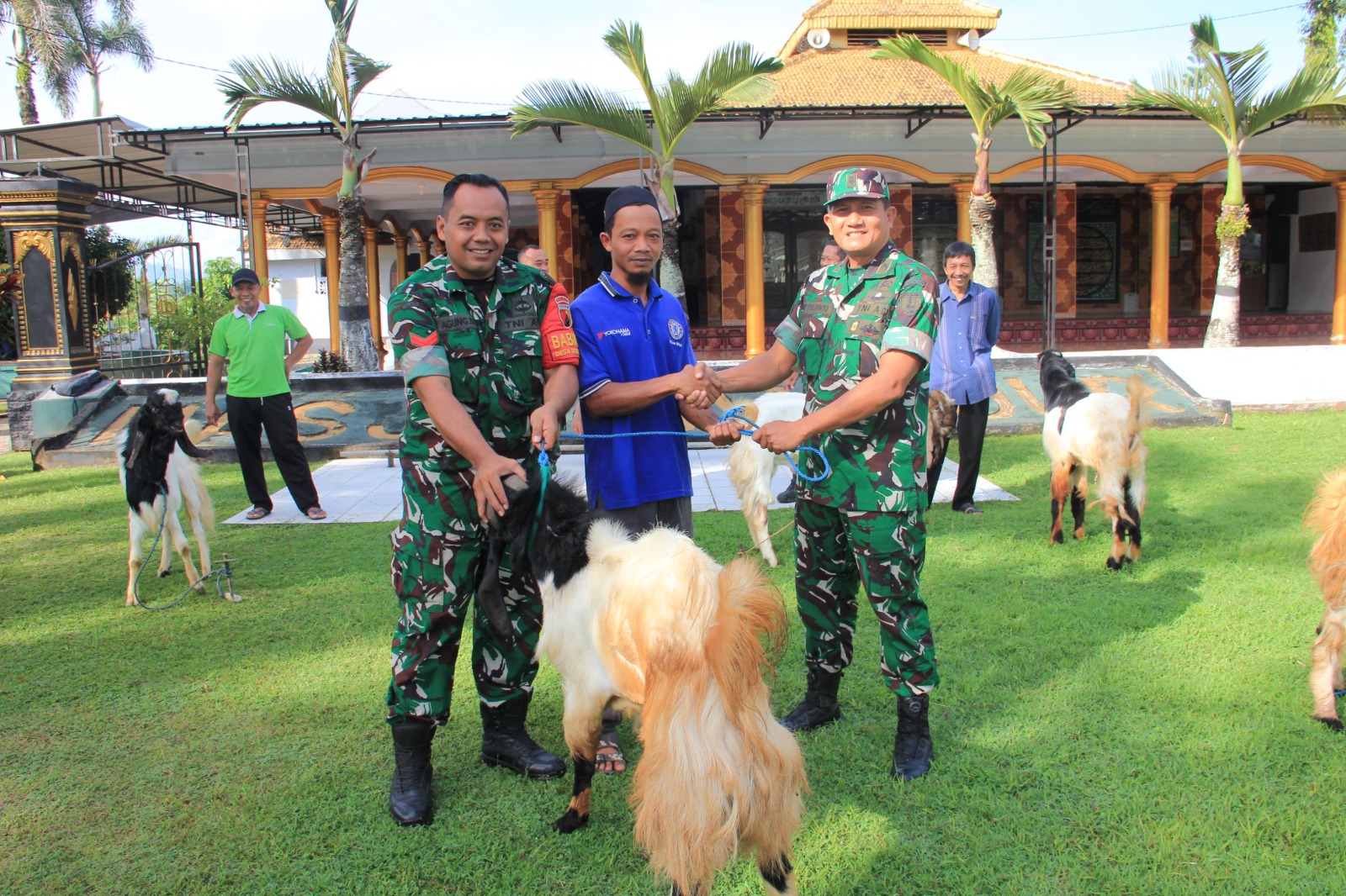 Kodim 0806/Trenggalek Distribusikan 7 Kambing Kurban untuk Panti Asuhan dan Ponpes