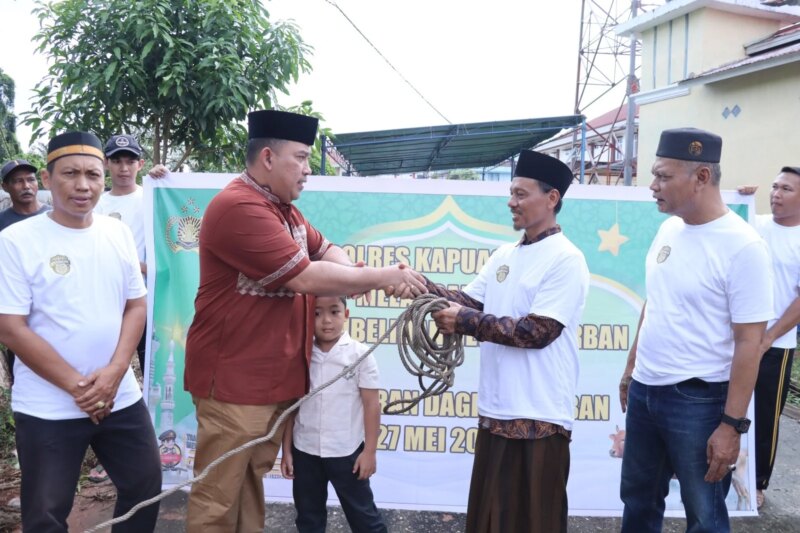 Semangat Berbagi di Idul Adha 1447 H, Kapolres Kapuas Hulu Salurkan 6 Ekor Hewan Kurban untuk Masyarakat – Detiktoday.com