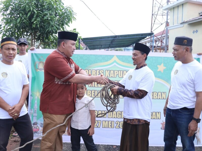 Semangat Berbagi di Idul Adha 1447 H, Kapolres Kapuas Hulu Salurkan 6 Ekor Hewan Kurban untuk Masyarakat – Detiktoday.com