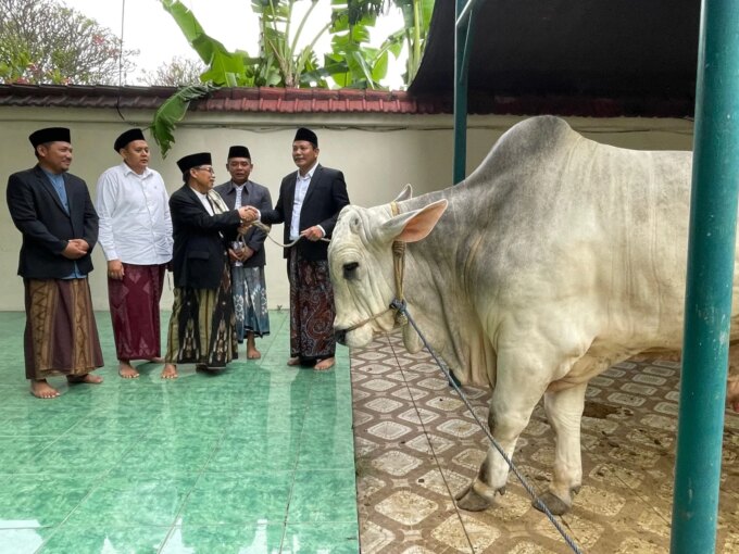 Bupati Subandi Serahkan Sapi Kurban 800 Kg ke Masjid Agung Sidoarjo, Distribusi Daging Hingga Jabon – Detiktoday.com