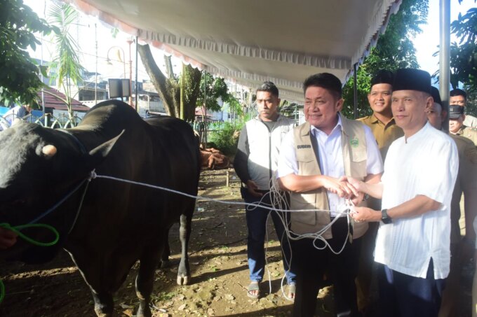 Herman Deru Titip Pesan Kepedulian Saat Serahkan Sapi Kurban 1,3 Ton untuk Masjid Agung Palembang – Detiktoday.com