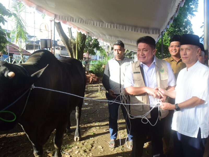 Herman Deru Titip Pesan Kepedulian Saat Serahkan Sapi Kurban 1,3 Ton untuk Masjid Agung Palembang – Detiktoday.com