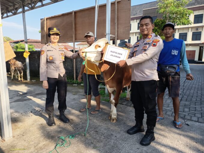 Polres Demak Sembelih 4 Sapi dan 6 Kambing Kurban, Daging Dibagikan untuk Warga