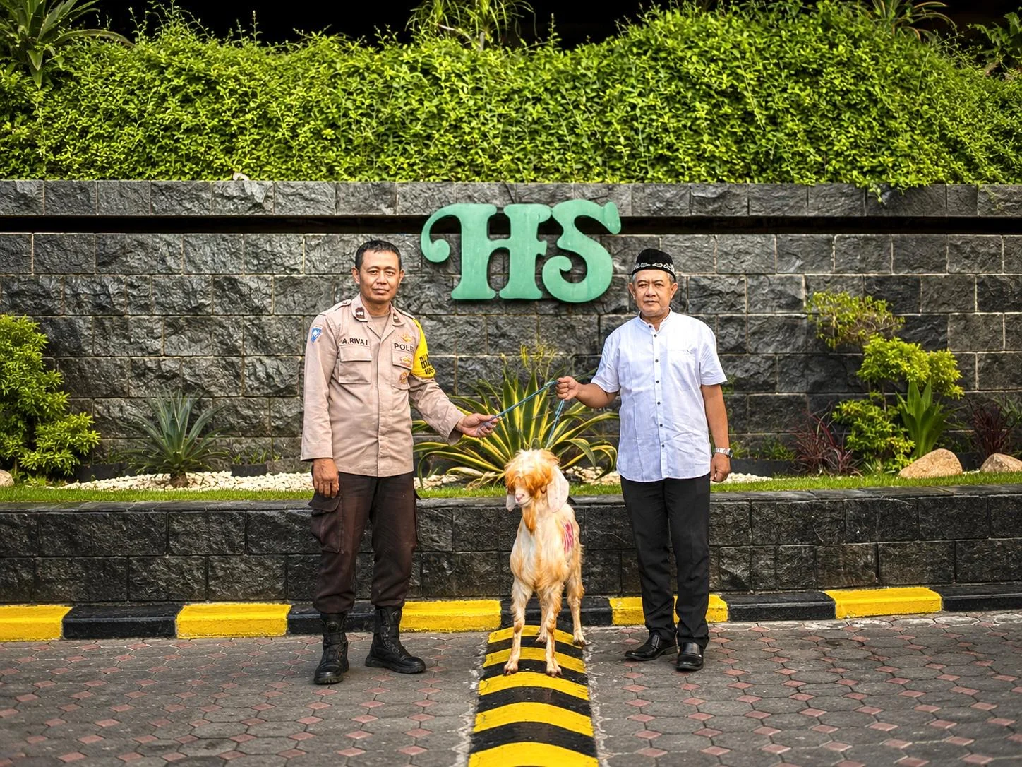 Semarak Iduladha 1447 H, Hotel Santika Pandegiling Surabaya Serahkan Hewan Kurban untuk Polsek Tegalsari – Detiktoday.com